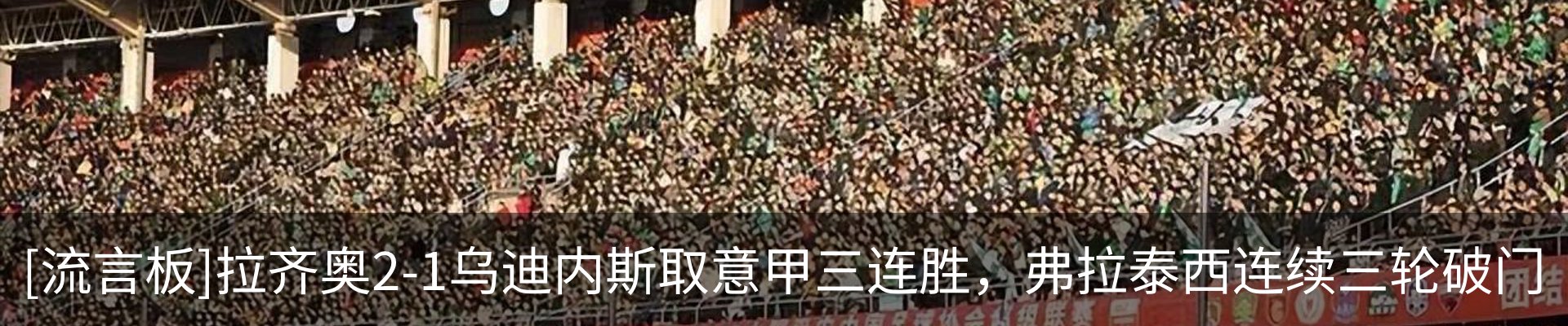 新闻动态